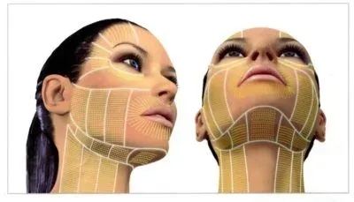 Facial structure and contouring illustration.
