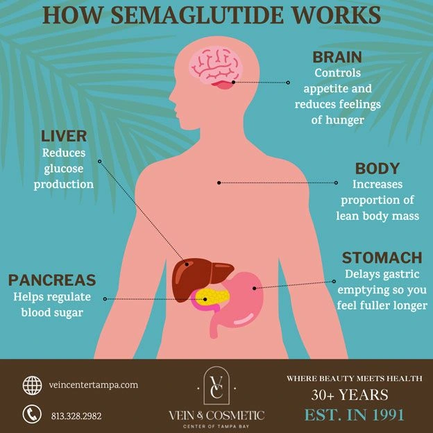 Semaglutide Tampa Bay